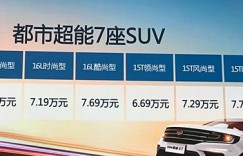斯威X3重庆车展上市 售5.99-8.29万元