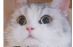 沃尔沃汽车通过严格的检测标准保障消费者健康