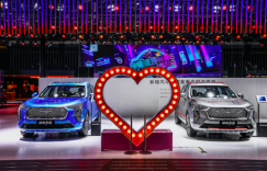 后起年轻新势力,凭什么是哈弗初恋?