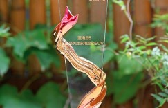 好用好省 备受好评 2023重庆车展蓝电E5屡获殊荣