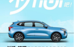 初恋这件事，只要有哈弗初恋就很甜了