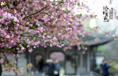 不负好春光 福特撼路者带你赏春景