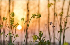 春分至 和福特撼路者一起采春风 尝春味