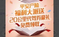 北京车主有福了！平安产险联合e代驾发百元代金券