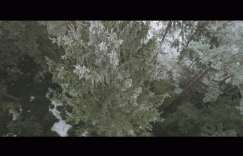 绿色科技，守护地球，北汽一直在行动！