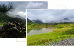 【在广东·途个乐】畅游仙湖营地，奢享雨后盛景