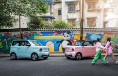 成都一日游详细攻略，熊猫mini带你玩转“天府之国”