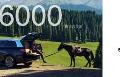 17个月稳居50万级销冠，问界M9持续霸榜高端市场有何密钥？