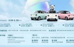 牵手“国宝熊猫”组成治愈系CP 吉利熊猫mini正式出道3.99万元起售