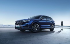 春日正好，樱花正盛，我们需要一个怎样的“出行伙伴”？