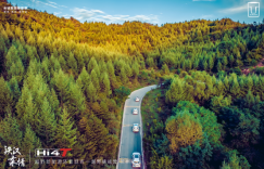 当露营成为向往的生活方式 坦克500 Hi4-T解锁越野新能源户外露营无限可能