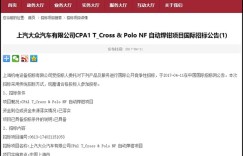 有望明年推出 T-Cross将落户上汽大众