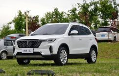 一汽奔腾 奔腾T33 2019款 基本型