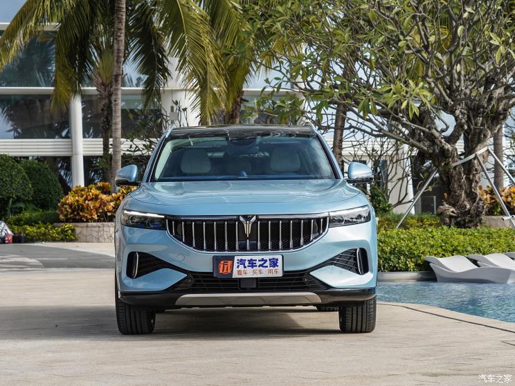 岚图汽车 岚图FREE 2021款 增程版 岚图汽车 岚图FREE 2021款 增程版