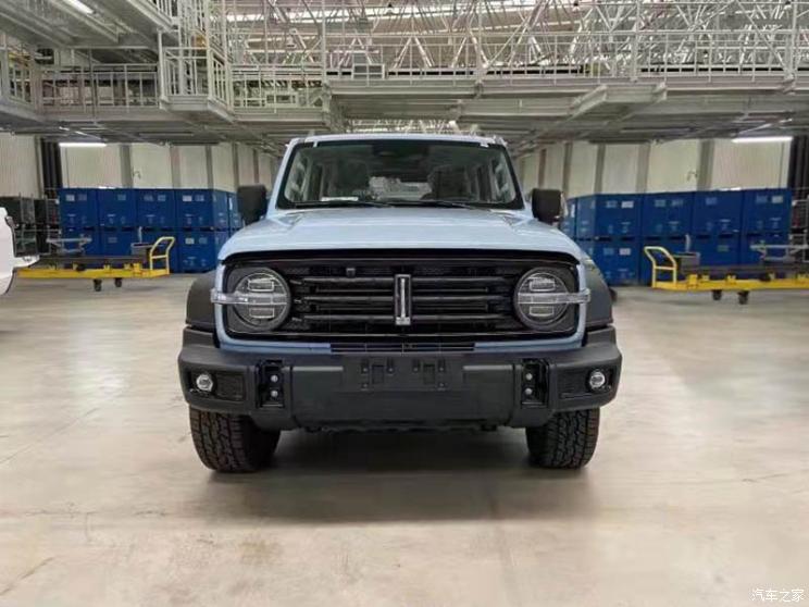 长城汽车 坦克300 2021款 2.0T 致敬莫奈限定版