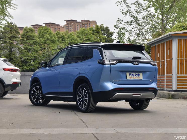 威马汽车 威马W6 2021款 520km ACE极智版