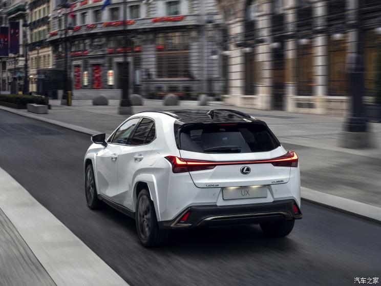 雷克萨斯 雷克萨斯UX 2023款 250h F SPORT AWD 欧洲版