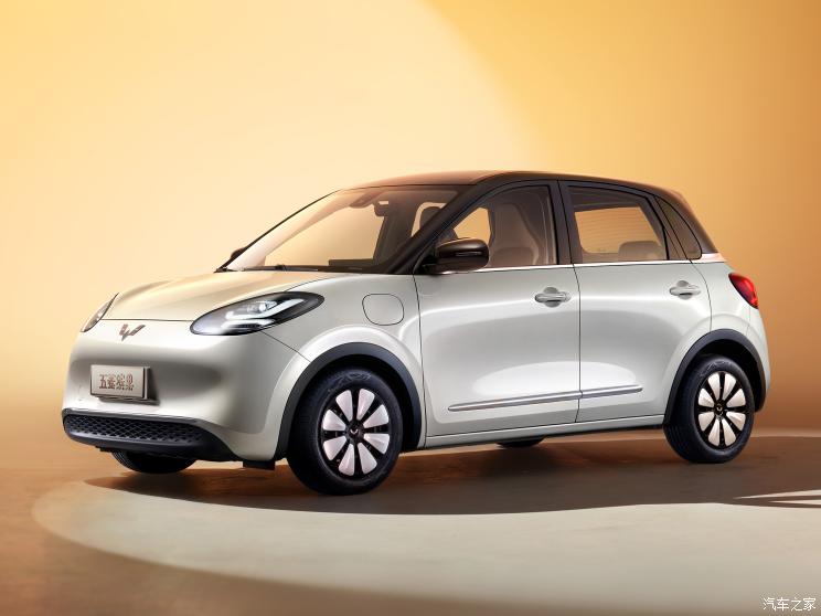 上汽通用五菱 五菱缤果 2023款 基本型 上汽通用五菱 五菱缤果 2023款 基本型