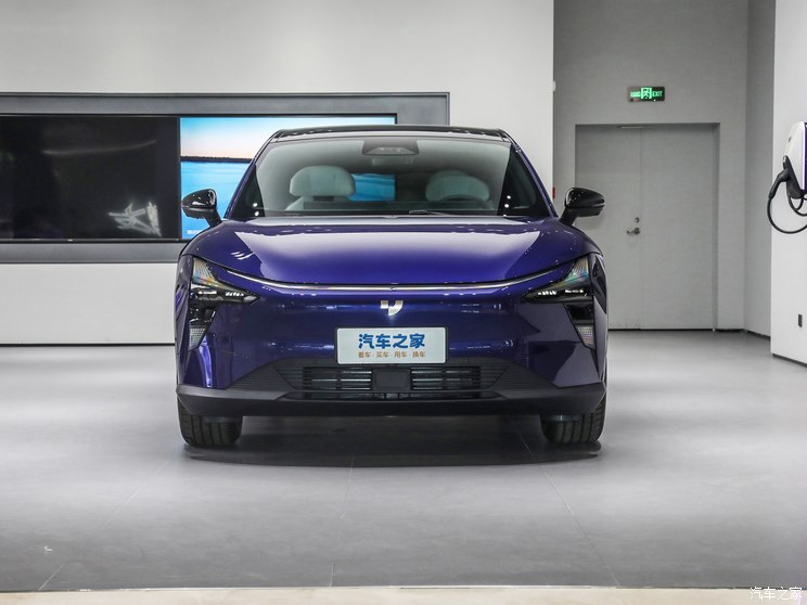 吉利汽车 极越01 2023款 磷酸铁锂 吉利汽车 极越01 2023款 磷酸铁锂